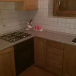 Lanner Silvano Apartment Sappada